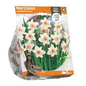 Baltus Narcissus Jonquilla Bell Song bloembollen per 5 stuks